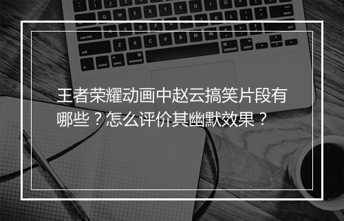王者荣耀动画中赵云搞笑片段有哪些？怎么评价其幽默效果？