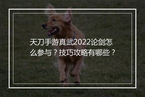 天刀手游真武2022论剑怎么参与？技巧攻略有哪些？