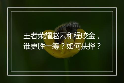 王者荣耀赵云和程咬金，谁更胜一筹？如何抉择？