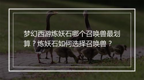 梦幻西游炼妖石哪个召唤兽最划算？炼妖石如何选择召唤兽？