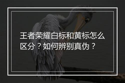 王者荣耀白标和黄标怎么区分？如何辨别真伪？