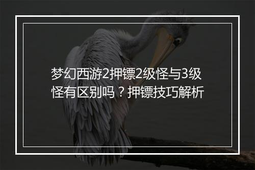 梦幻西游2押镖2级怪与3级怪有区别吗？押镖技巧解析