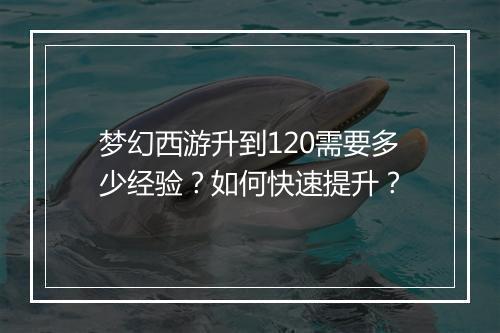 梦幻西游升到120需要多少经验？如何快速提升？