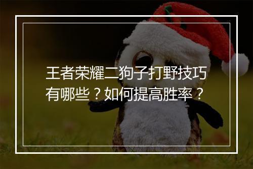 王者荣耀二狗子打野技巧有哪些？如何提高胜率？