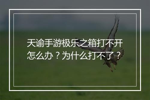 天谕手游极乐之箱打不开怎么办？为什么打不了？