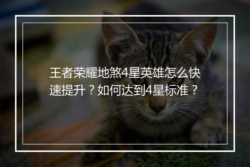 王者荣耀地煞4星英雄怎么快速提升？如何达到4星标准？