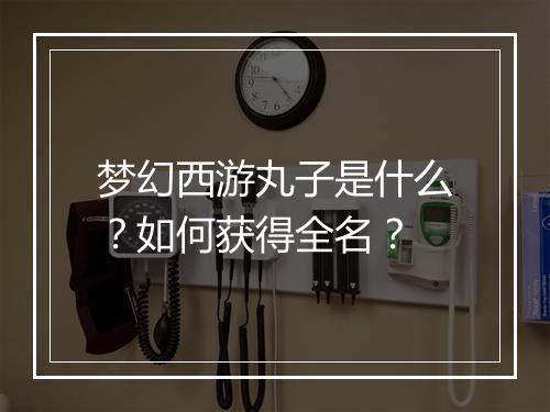 梦幻西游丸子是什么？如何获得全名？