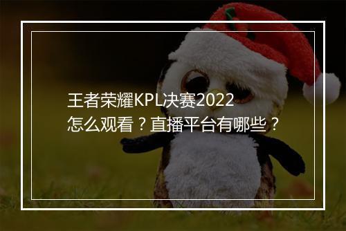 王者荣耀KPL决赛2022怎么观看？直播平台有哪些？