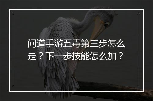 问道手游五毒第三步怎么走？下一步技能怎么加？