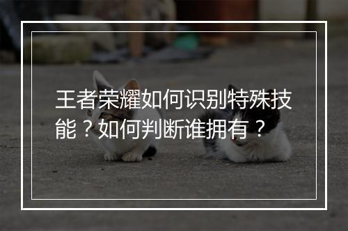 王者荣耀如何识别特殊技能？如何判断谁拥有？