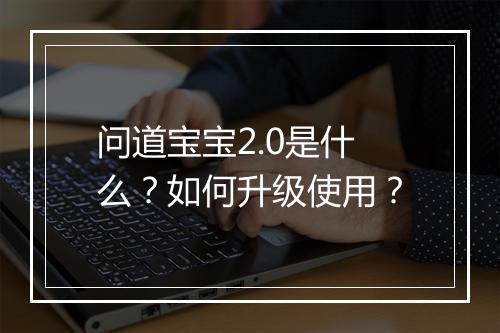 问道宝宝2.0是什么？如何升级使用？