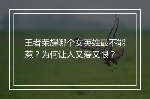 王者荣耀哪个女英雄最不能惹？为何让人又爱又恨？