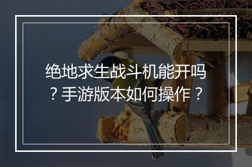 绝地求生战斗机能开吗?手游版本如何操作?
