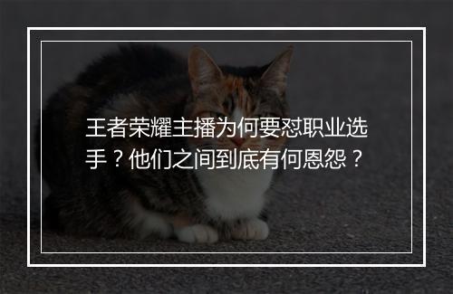 王者荣耀主播为何要怼职业选手？他们之间到底有何恩怨？