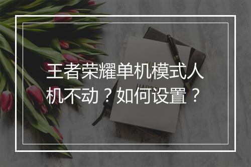 王者荣耀单机模式人机不动？如何设置？