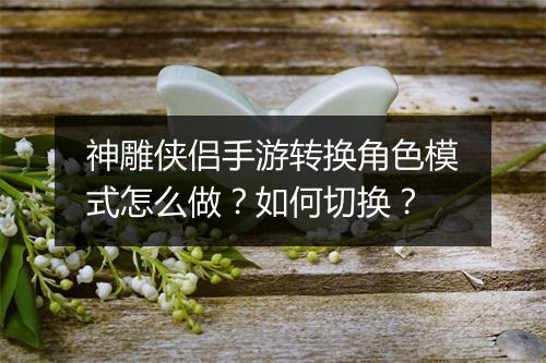 神雕侠侣手游转换角色模式怎么做？如何切换？