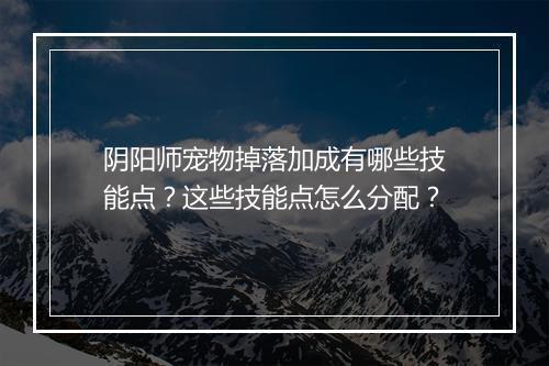 阴阳师宠物掉落加成有哪些技能点？这些技能点怎么分配？