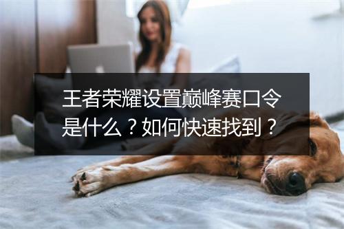 王者荣耀设置巅峰赛口令是什么？如何快速找到？