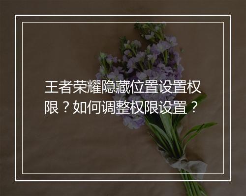 王者荣耀隐藏位置设置权限?如何调整权限设置?