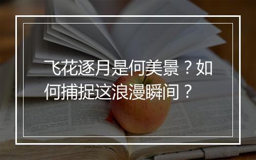 飞花逐月是何美景？如何捕捉这浪漫瞬间？