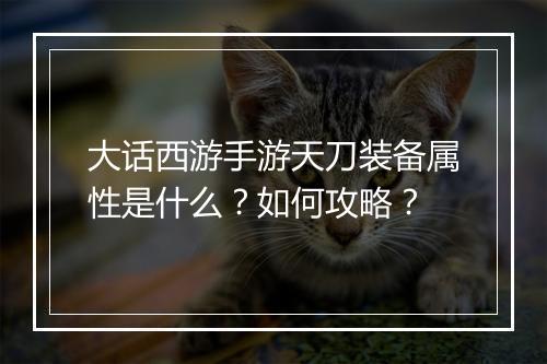 大话西游手游天刀装备属性是什么？如何攻略？
