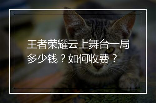 王者荣耀云上舞台一局多少钱？如何收费？
