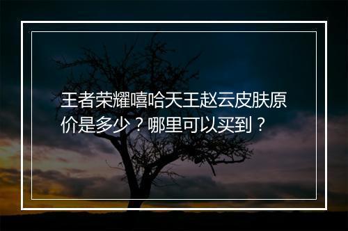 王者荣耀嘻哈天王赵云皮肤原价是多少？哪里可以买到？