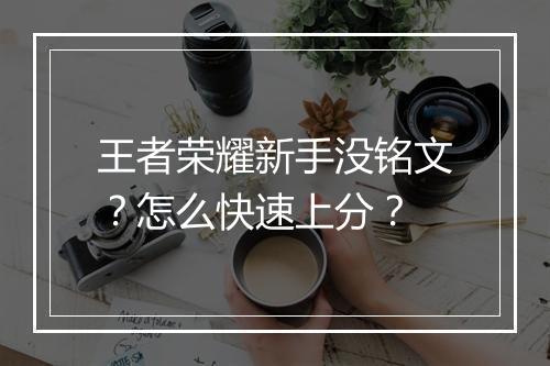 王者荣耀新手没铭文？怎么快速上分？