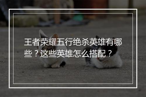 王者荣耀五行绝杀英雄有哪些?这些英雄怎么搭配?