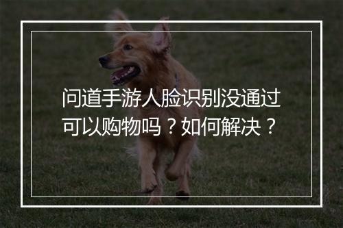 问道手游人脸识别没通过可以购物吗？如何解决？