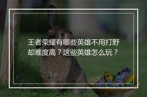王者荣耀有哪些英雄不用打野却难度高？这些英雄怎么玩？