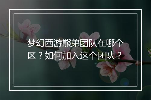 梦幻西游熊弟团队在哪个区？如何加入这个团队？