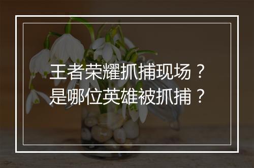 王者荣耀抓捕现场？是哪位英雄被抓捕？