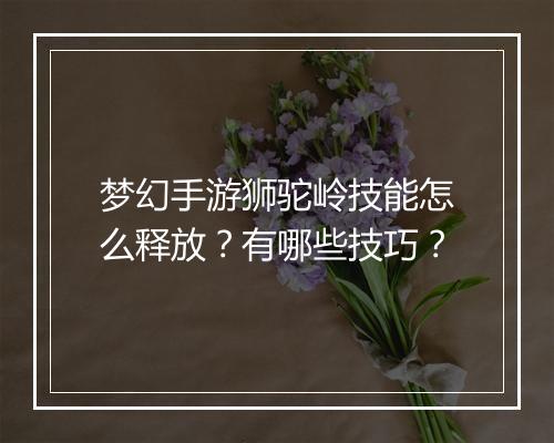 梦幻手游狮驼岭技能怎么释放？有哪些技巧？