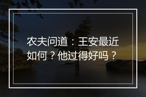 农夫问道：王安最近如何？他过得好吗？