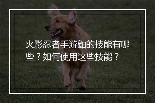 火影忍者手游鼬的技能有哪些？如何使用这些技能？