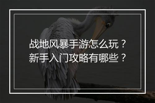 战地风暴手游怎么玩？新手入门攻略有哪些？