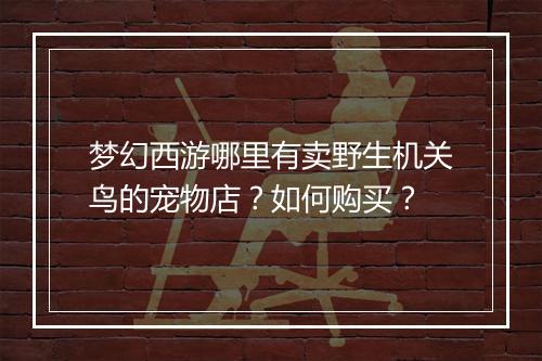 梦幻西游哪里有卖野生机关鸟的宠物店？如何购买？