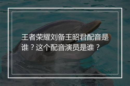 王者荣耀刘备王昭君配音是谁？这个配音演员是谁？