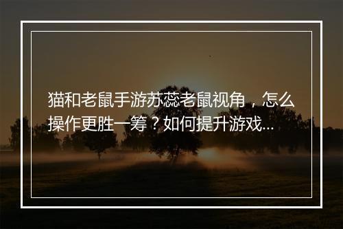 猫和老鼠手游苏蕊老鼠视角，怎么操作更胜一筹？如何提升游戏体验？