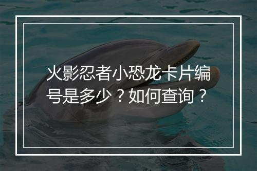 火影忍者小恐龙卡片编号是多少？如何查询？