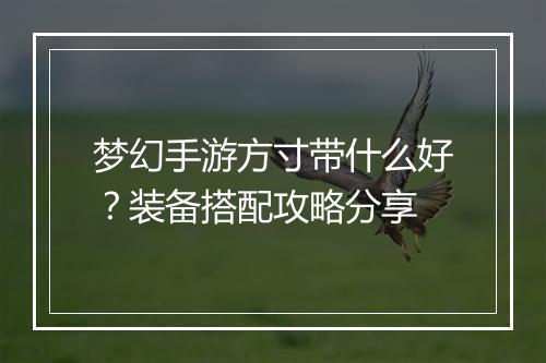 梦幻手游方寸带什么好?装备搭配攻略分享