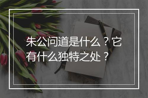 朱公问道是什么？它有什么独特之处？