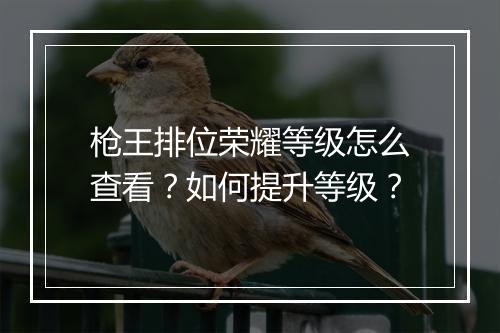 枪王排位荣耀等级怎么查看？如何提升等级？