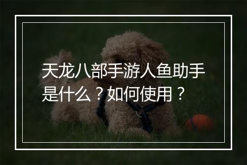 天龙八部手游人鱼助手是什么？如何使用？