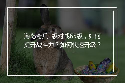 海岛奇兵1级对战65级，如何提升战斗力？如何快速升级？