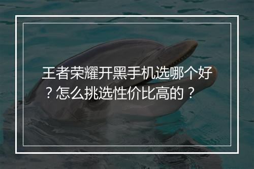 王者荣耀开黑手机选哪个好？怎么挑选性价比高的？
