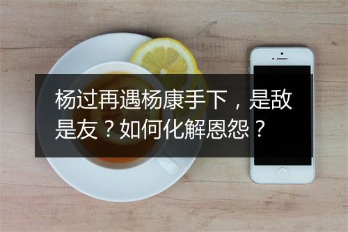 杨过再遇杨康手下，是敌是友？如何化解恩怨？