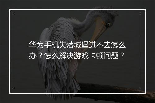 华为手机失落城堡进不去怎么办?怎么解决游戏卡顿问题?