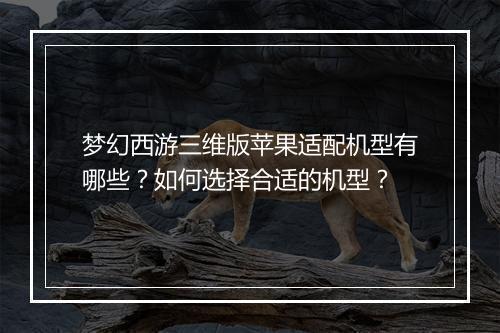 梦幻西游三维版苹果适配机型有哪些？如何选择合适的机型？